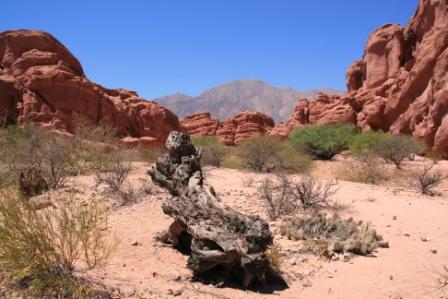 Quebrada de las Conchas